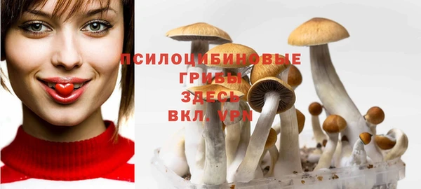 бошки Карпинск