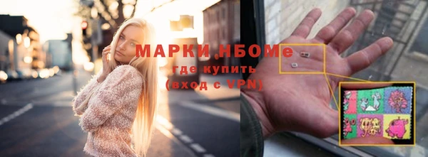стаф Кинешма