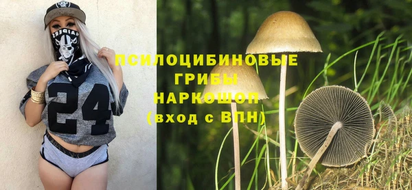 бошки Карпинск