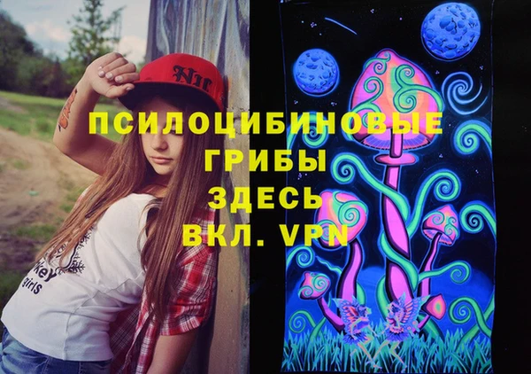 бошки Карпинск