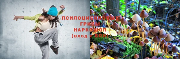 2c-b Киренск