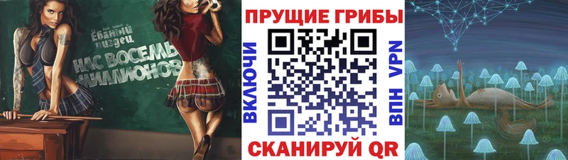 Купить  Иланский  Псилоцибиновые грибы Magic Shrooms 